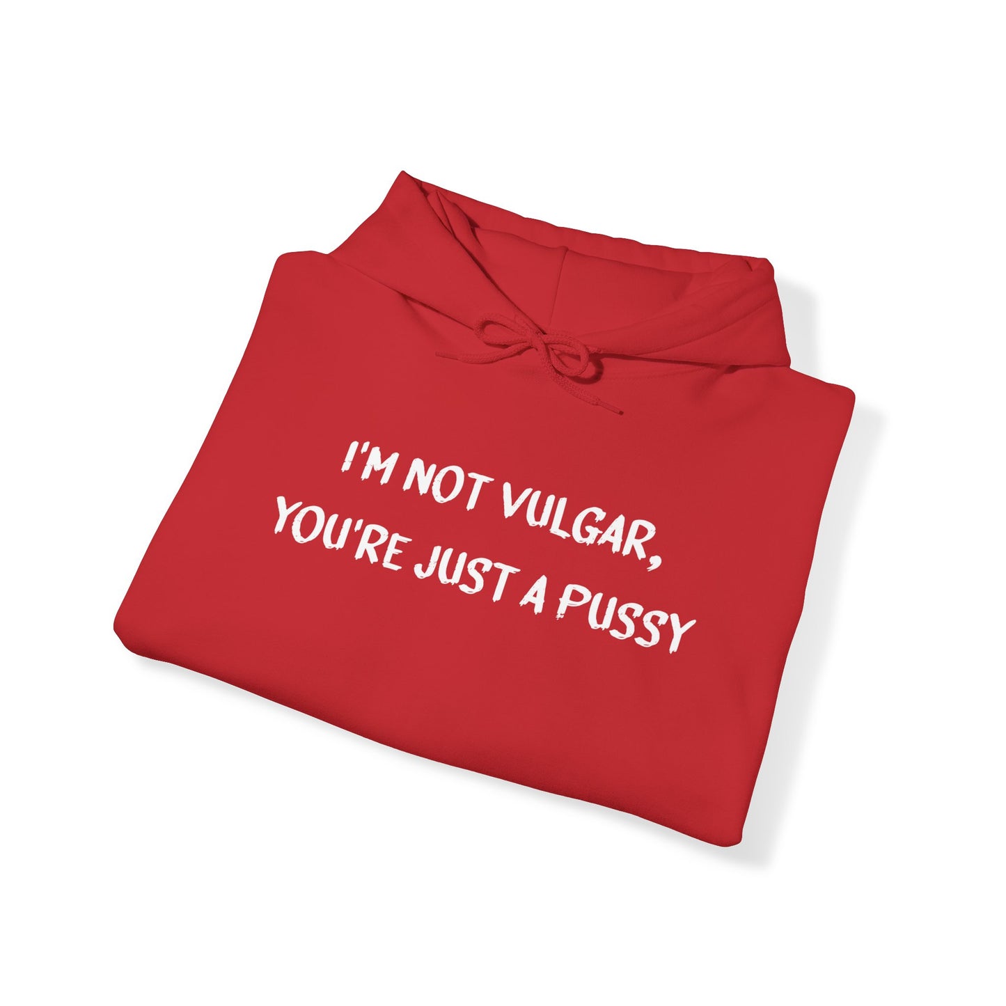 I'M NOT VULGAR HOODIE