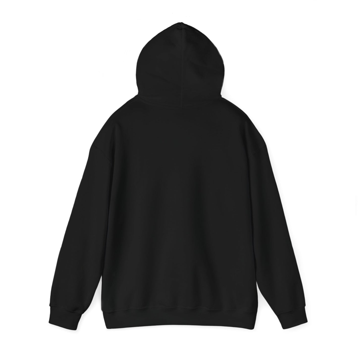 LIES HOODIE