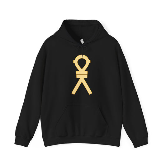 EGYPTIAN SA HOODIE